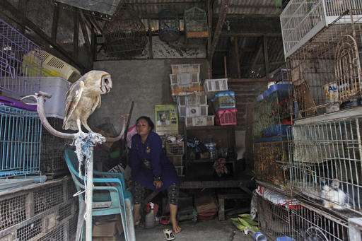 indonesiaurg